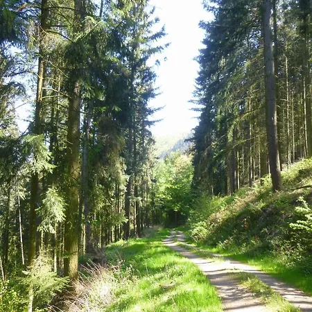 Moselschiefer Neu Ab Mai 2023 아파트 *