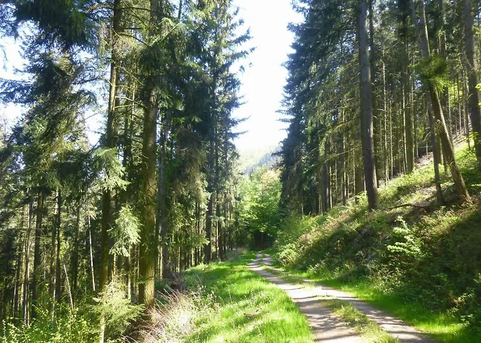 Moselschiefer Neu Ab Mai 2023 Lägenhet *