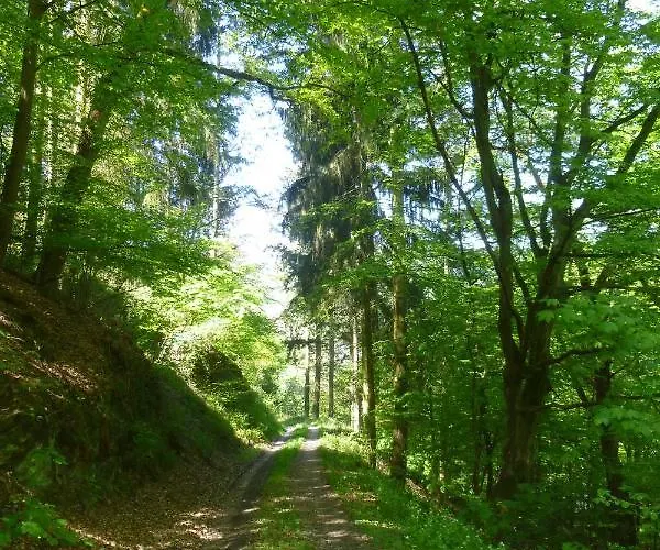 Lägenhet Moselschiefer Neu Ab Mai 2023 *